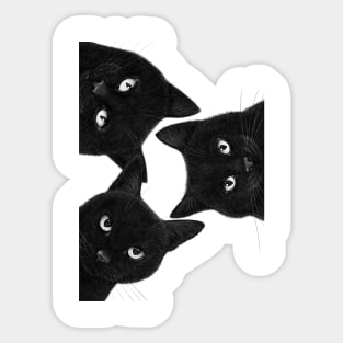 Three black cats in a circle Sticker